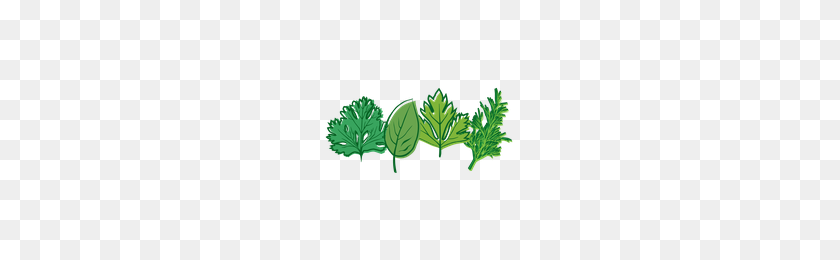 200x200 Download Herbs Free Png Photo Images And Clipart Freepngimg - Herbs PNG