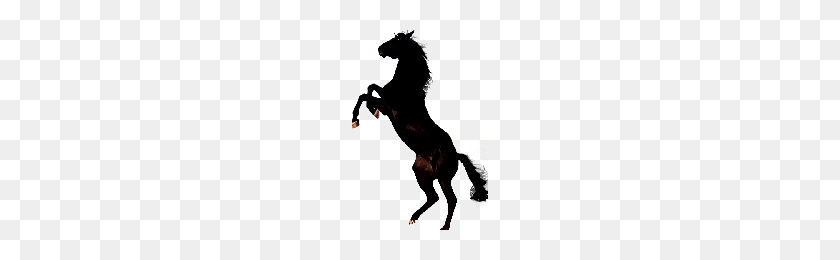 200x200 Caballo Png