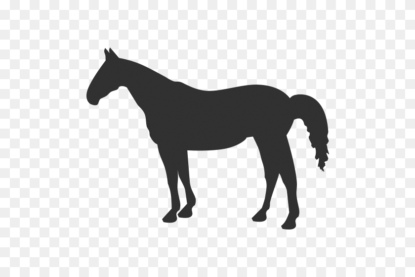 500x500 Download Horse Icon - Horse Icon PNG