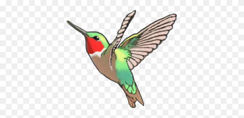400x349 Download Hummingbird Tattoos Free Png Transparent Image And Clipart - Hummingbird PNG