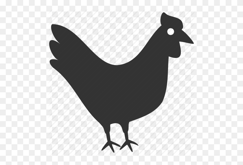 512x512 Download Icon Hen - Hen PNG