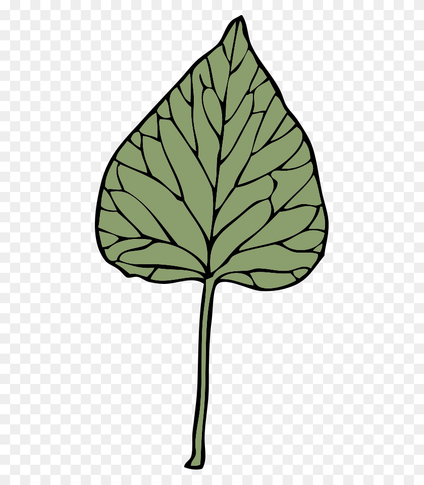 463x900 Download Ivy Leaf Clipart - Ivy PNG