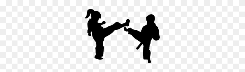 260x189 Descargar Karate Kids Clipart Clipart De Artes Marciales De Karate - Black Belt Clipart