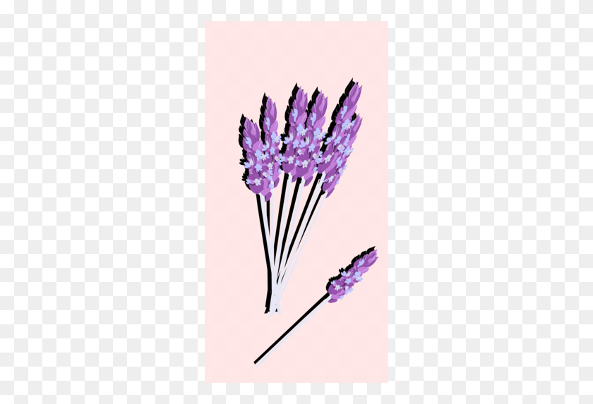 260x513 Download Lavender Clipart English Lavender Flower Clip Art - Thank You Flowers Clipart