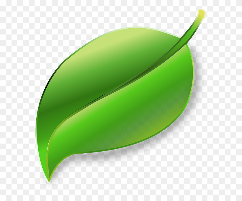 594x640 Download Leaf Png Transparent Clipart Clip Art Leaf, Grass - Leaf Divider Clipart