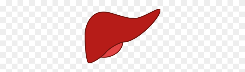 260x189 Download Liver Clipart Liver Kidney Large Intestine Liver, Red - Kidney Clipart