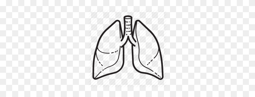 260x260 Download Lungs Icon Clipart Lung Breathing Computer Icons Font - Lung Cancer Clipart