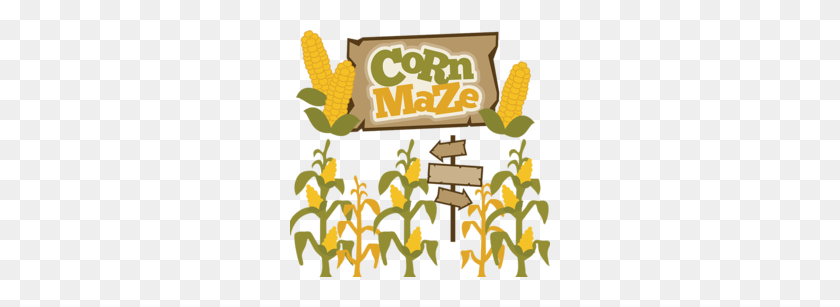 260x247 Download Maize Clipart Corn Maze Maize Clip Art Flower, Food - Corn Field Clipart