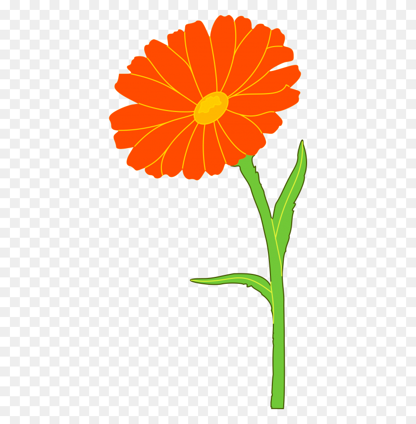 400x796 Download Marigold Free Png Transparent Image And Clipart - Marigold PNG