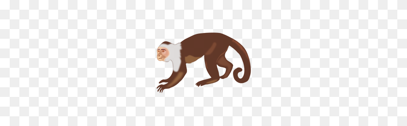200x200 Download Monkey Category Png, Clipart And Icons Freepngclipart - Monkey PNG