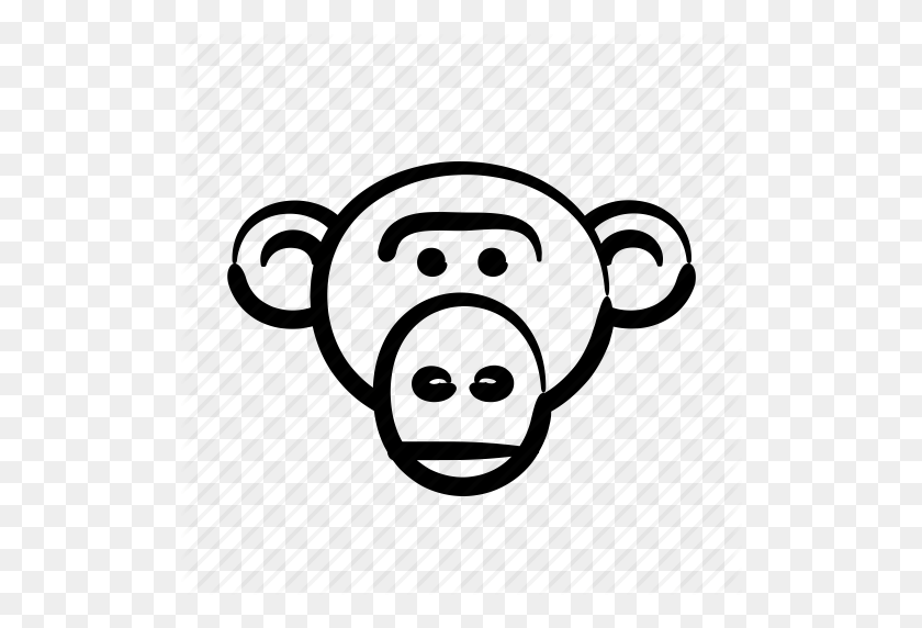 512x512 Download Monkey Clipart Drawing Clipart Drawing, Lion, Monkey - Monkey Head Clipart