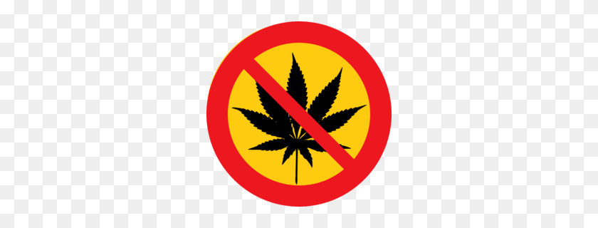 260x260 Download No Marijuana Clipart Cannabis Clip Art Drug, Leaf, Tree - Marijuana Plant Clipart