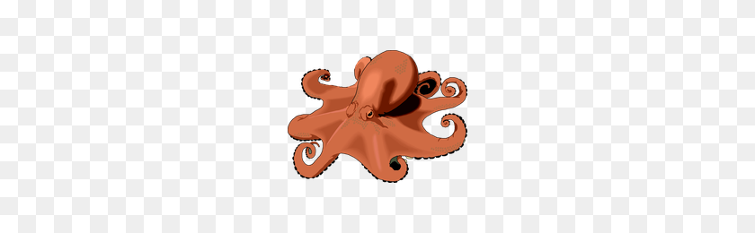 200x200 Download Octopus Category Png, Clipart And Icons Freepngclipart - Octopus PNG