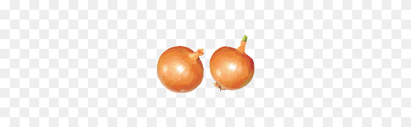 200x200 Download Onion Free Png Photo Images And Clipart Freepngimg - Onion PNG