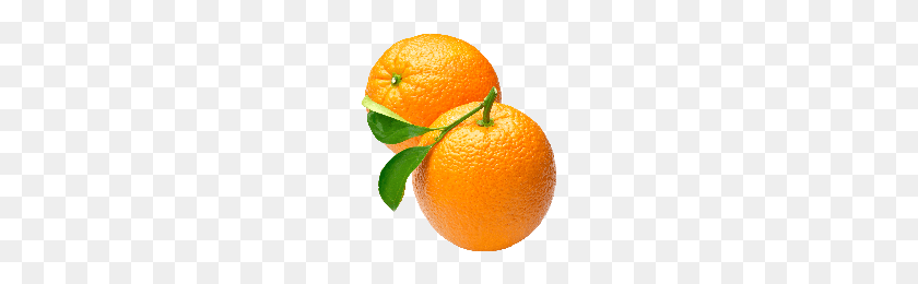 200x200 Download Orange Free Png Photo Images And Clipart Freepngimg - Oranges PNG