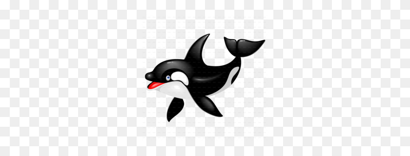 260x260 Download Orca Cartoon Clipart Killer Whale Cetacea Dolphin - Beluga Clipart