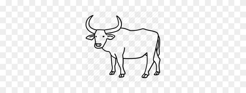 260x260 Download Ox Drawing Clipart Ox Cattle Water Buffalo - Buffalo Head Clipart