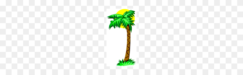200x200 Download Palm Tree Category Png, Clipart And Icons Freepngclipart - Palm Tree PNG