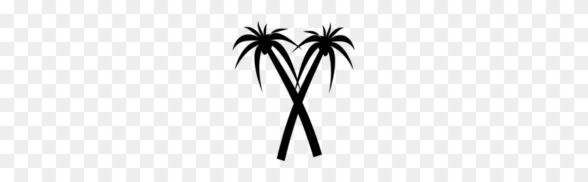 200x200 Download Palm Tree Category Png, Clipart And Icons Freepngclipart - Palm Tree Vector PNG