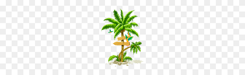 200x200 Download Palm Tree Free Png Photo Images And Clipart Freepngimg - Palm PNG