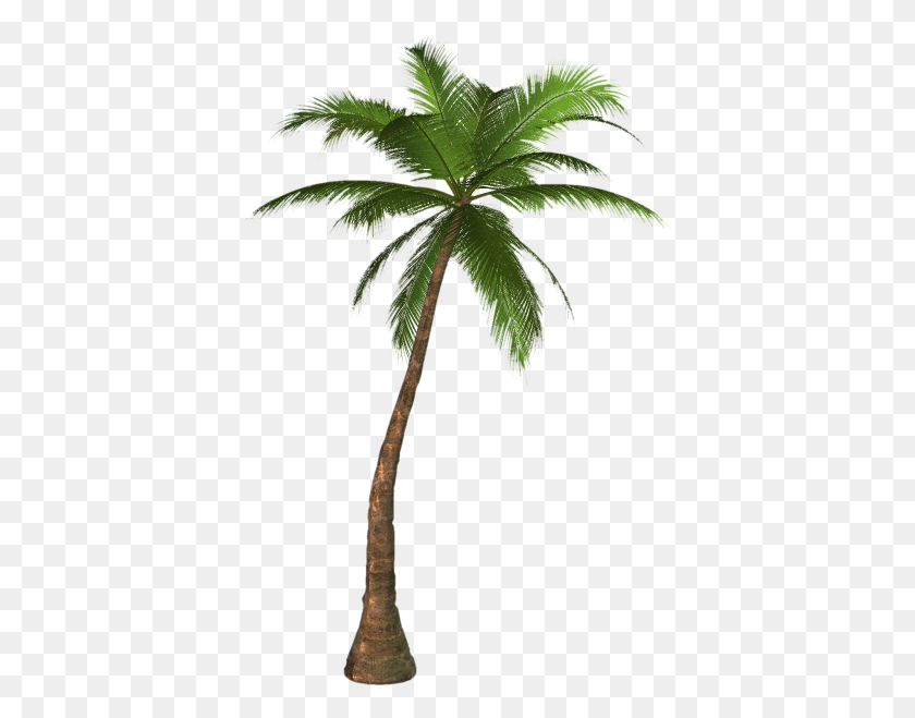 400x599 Download Palm Tree Free Png Transparent Image And Clipart - Cartoon Palm Tree PNG