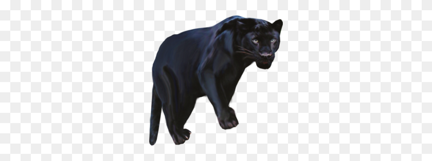 260x254 Descargar Pantera Animal Png Clipart Black Panther Leopard Jaguar - Puma Png