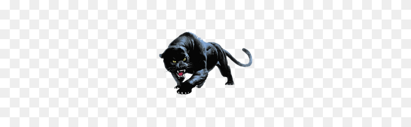 200x200 Download Panther Free Png Photo Images And Clipart Freepngimg - Panther PNG
