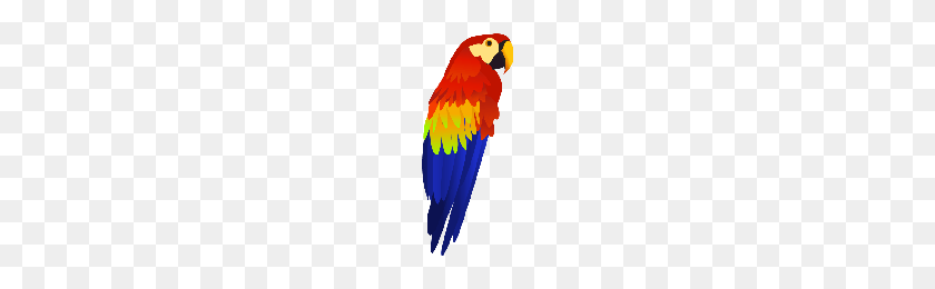 200x200 Download Parrot Free Png Photo Images And Clipart Freepngimg - Parrot PNG