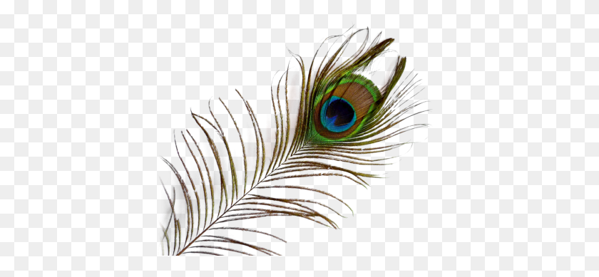 400x329 Download Peacock Feather Free Png Transparent Image And Clipart - Peacock Feather PNG