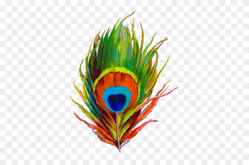 400x498 Download Peacock Feather Free Png Transparent Image And Clipart - Snake Eye PNG