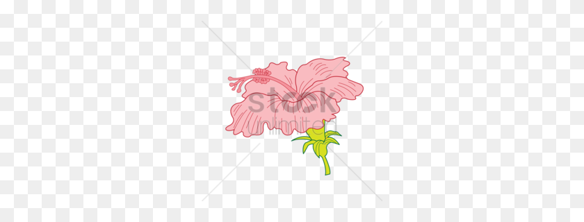 260x260 Download Petal Clipart Floral Design Visual Arts Clip Art Flower - Petal Clipart