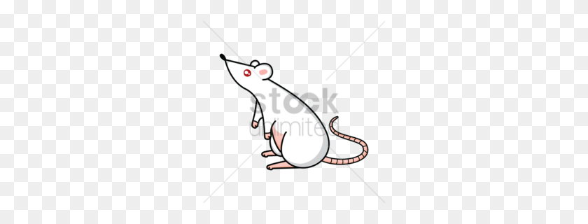 260x260 Download Photography Clipart Photography Clip Art Illustration - Rat Clipart PNG