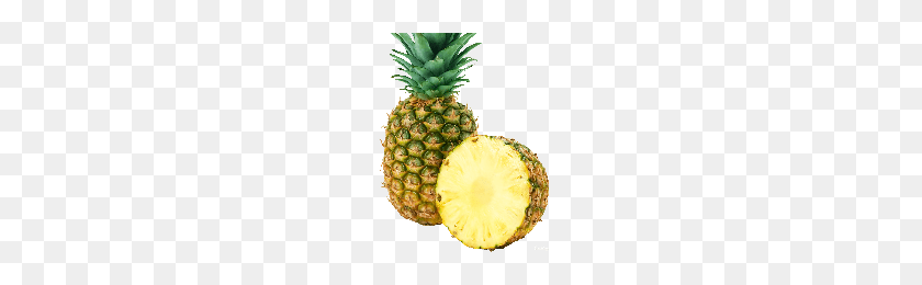 200x200 Download Pineapple Free Png Photo Images And Clipart Freepngimg - Pinapple PNG