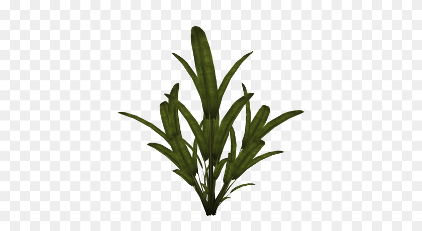 400x400 Download Plant Free Png Transparent Image And Clipart - Plant PNG