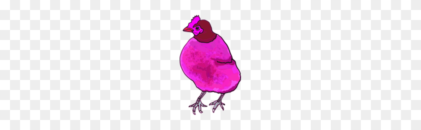 200x200 Download Poussin Free Png, Icon And Clipart Freepngclipart - Chicken PNG