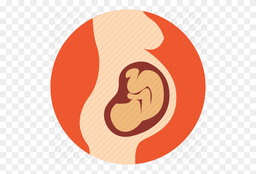 512x512 Download Pregnant Icon Png Clipart Pregnancy Fetus Circle - Embryo Clipart