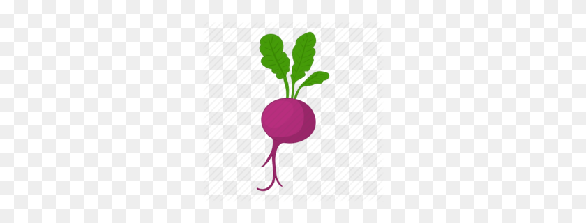 260x260 Download Radish Png Clipart Beetroot Daikon Vegetable, Food - Turnip PNG
