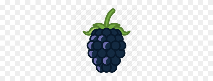 260x260 Download Raspberry Icon Transparent Clipart Grape Raspberry - Raspberry PNG