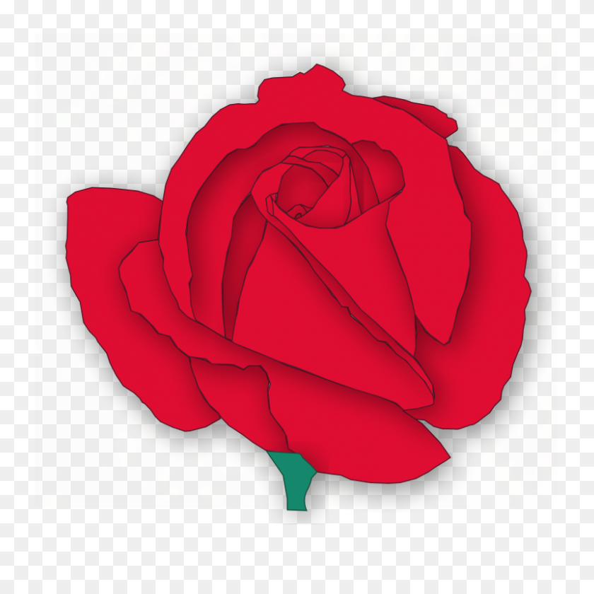 800x800 Download Red Rose Transparent Cartoon Clipart Garden Roses Cabbage - Rose Clipart Transparent