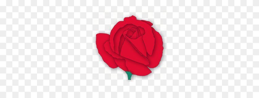 260x260 Descargar Rosa Roja Transparente De Dibujos Animados De Imágenes Prediseñadas De Rosas De Jardín Repollo - Jardín Del Edén Clipart