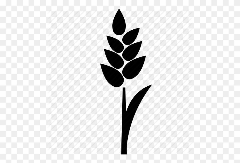 512x512 Download Rice Plant Icon Clipart Rice Computer Icons Clip Art - Wheat Clipart Black And White
