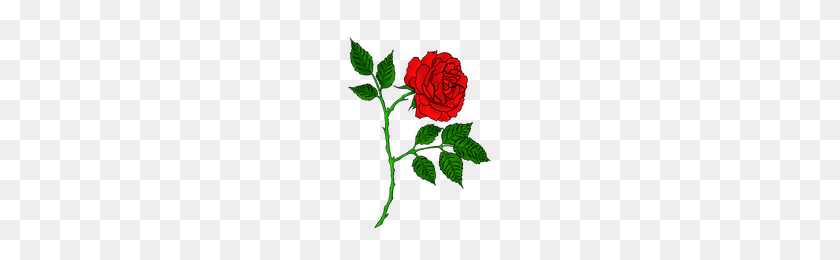 200x200 Download Rose Tattoo Free Png Photo Images And Clipart Freepngimg - Rose Tattoo PNG