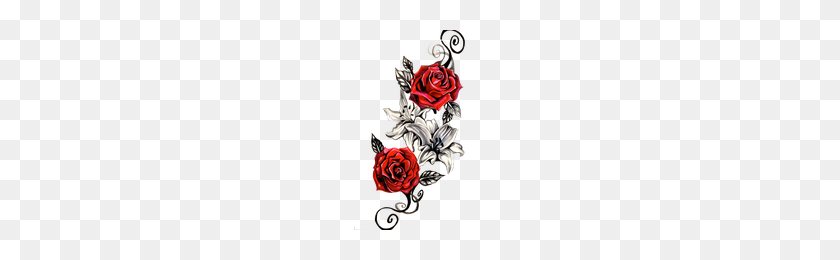 200x200 Download Rose Tattoo Free Png Photo Images And Clipart Freepngimg - Skull Tattoo PNG