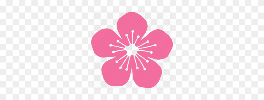 260x260 Download Sakura Icon Clipart Cherry Blossom Flower, Circle - Sakura Flower Clipart