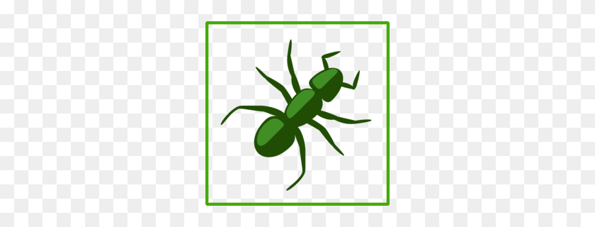 260x260 Download Scarabs Clipart Ant Pest Control Clipart Free Download - Exterminator Clipart