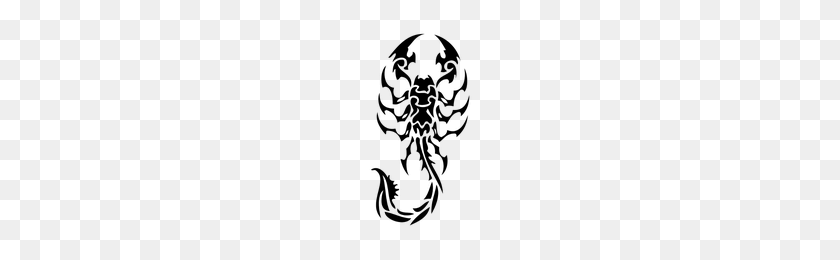 200x200 Download Scorpion Tattoos Free Png Photo Images And Clipart - Skull Tattoo PNG