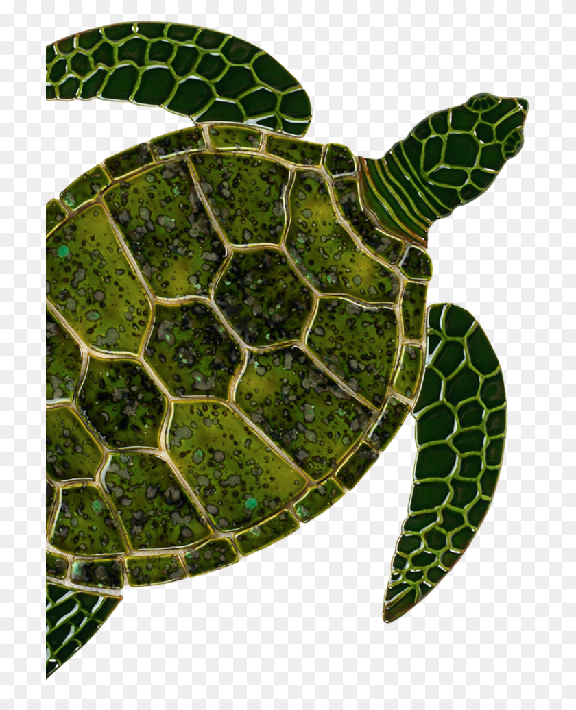 705x976 Download Sea Turtle Art Clipart Sea Turtle Tortoise - Sea Turtle PNG