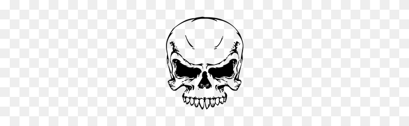200x200 Download Skull Free Png Photo Images And Clipart Freepngimg - Skull PNG Transparent