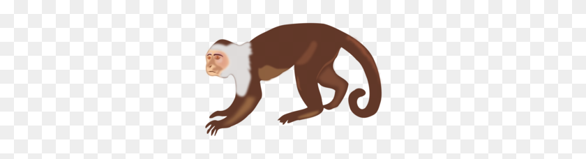 260x168 Download Spider Monkey Clip Art Clipart Primate Brown Spider - Curious George Clipart