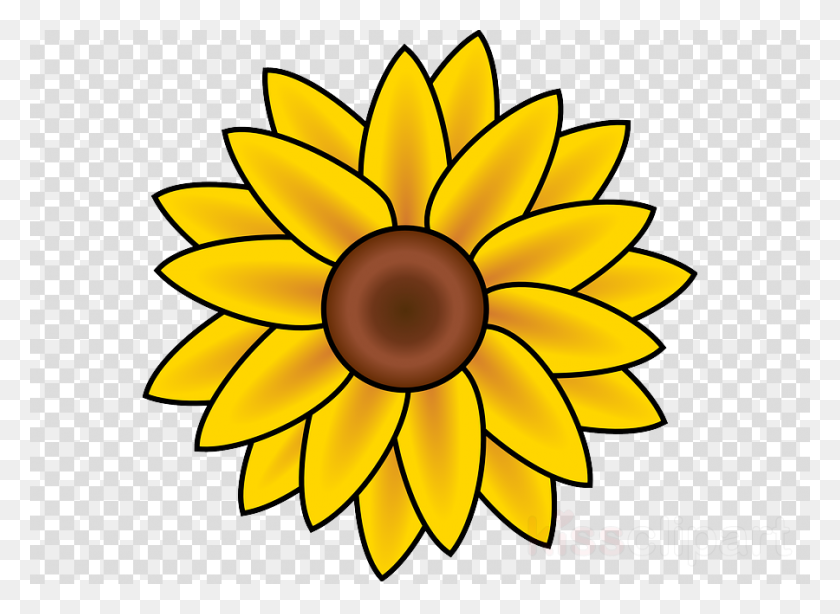 900x640 Download Sunflower August Clipart Drawing Clip Art Drawing - Pumpkin Seed Clipart